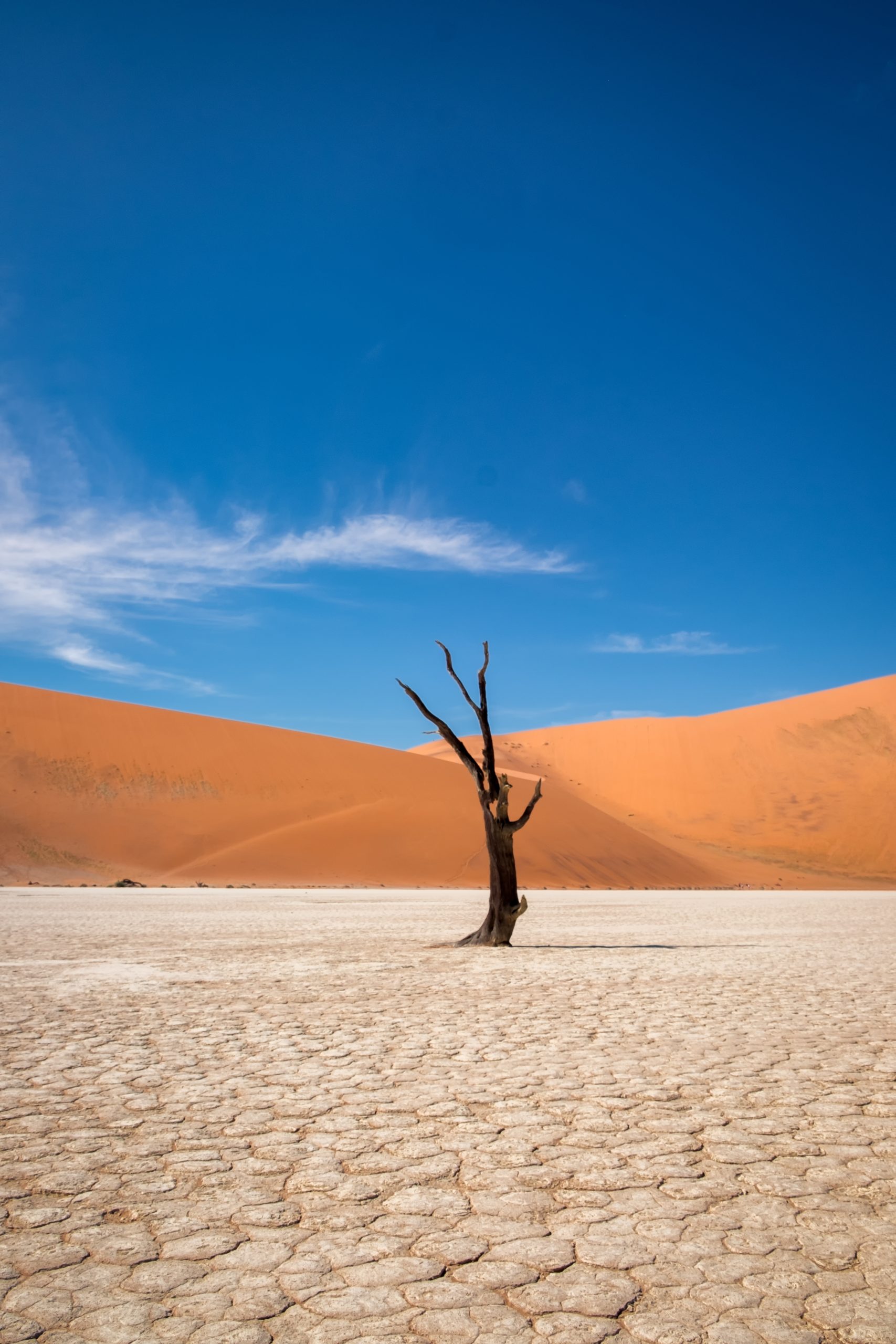 Picture from : www.freepik.com(no author attributed)