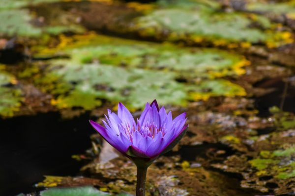 The God who sees you